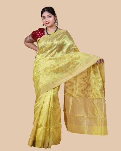 Radiant Bail Elegance: Handloom Chanderi Silk Saree with Meenakari Magic, Woven in Ten Patient Days