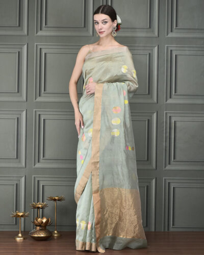 Radiant Meenakari Majesty: One-Shuttle Chanderi Silk Saree with Regal Contrast Border