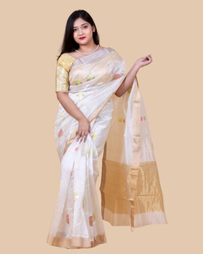 Majestic Meenakari Chanderi Silk Saree Crafted on a Single Shuttle with Contrast Border